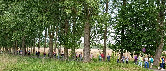 VI Marsz Nordic Walking Studentów UTW