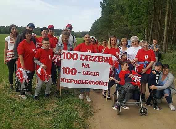 100 drzew na 100-lecie Niepodlegoci