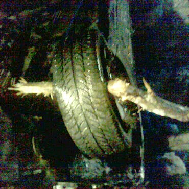 �winouj�cie: Dachowa� bo chcia� omin�� dzika