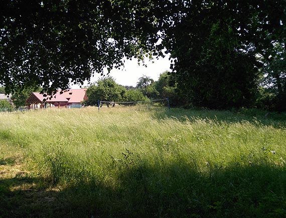 Trawa w Krzepocinie czeka na skoszenie albo krowy...Kosiarka zostaa oddana przez pani sotys