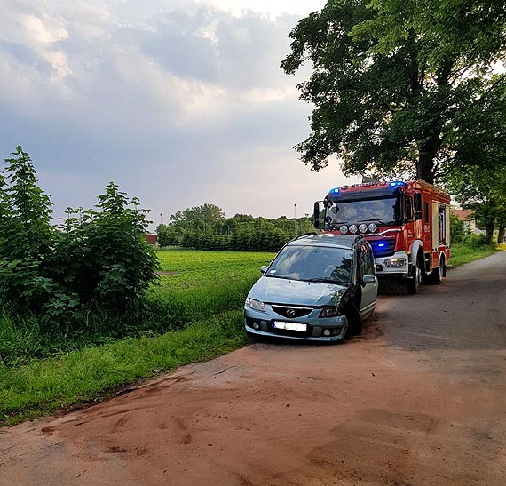 Nietrzewy sprawca kolizji