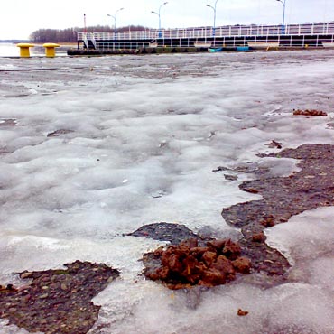 Odwil� odkry�a dziurawe jak ser ulice i... psie kupy