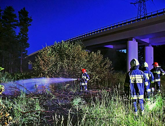 Poar nieuytkw obok WPN pod wiaduktem DK3