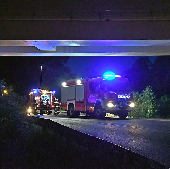 Poar nieuytkw obok WPN pod wiaduktem DK3