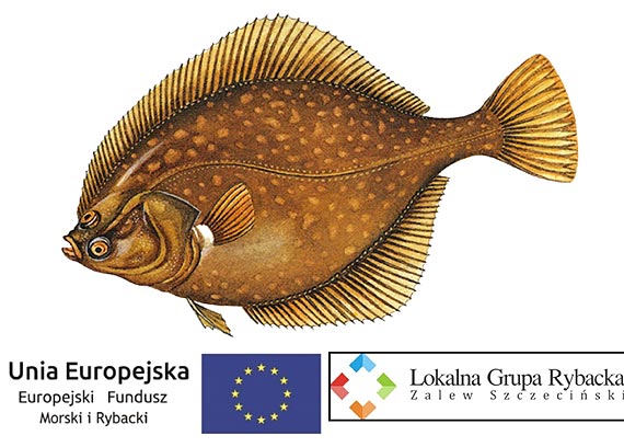 Stornia zwana Fl�dr�