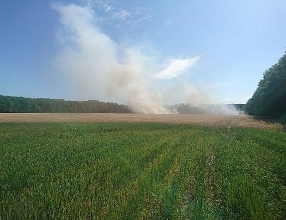 Zadymienie w okolicach lasu midzy wierznem a Bdziszewem