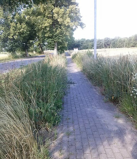Gmina zapomniaa o mieszkacach Rzewnowa?