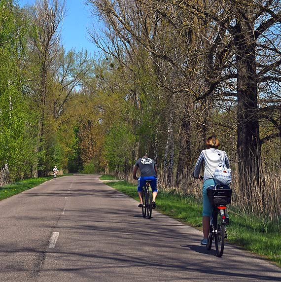 Droga niebezpieczna  dla pieszych i rowerzystw