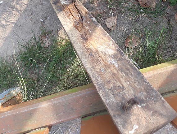 Czytelniczka: Plac zabaw, czy plac menela?