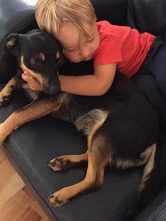 Waciciele zaginionej suczki prosz o pomoc w jej odnalezieniu