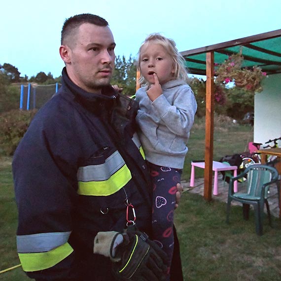 Od kwietnia trwaj upay. Osy i szerszenie s mocno rozdranione