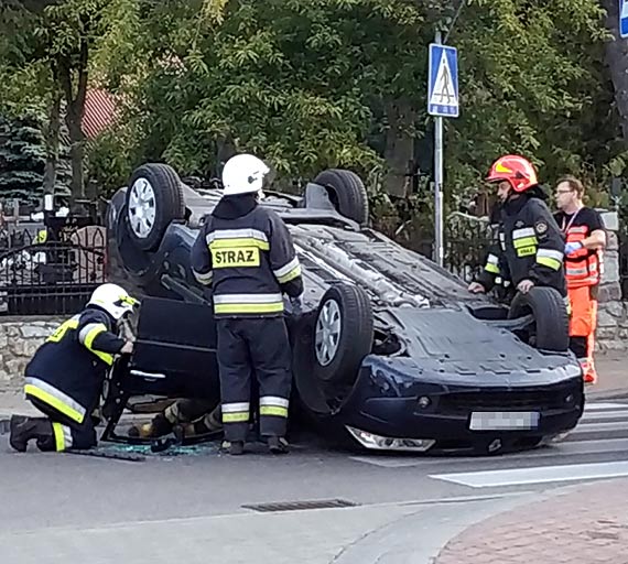 Renwka dachowaa w Dziwnowie