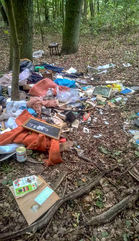 Kamie Cesarza Wilhelma II w Kamieniu Pomorskim i dzikie mietniska na szlakach turystycznych