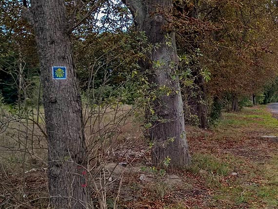 Kamie Cesarza Wilhelma II w Kamieniu Pomorskim i dzikie mietniska na szlakach turystycznych