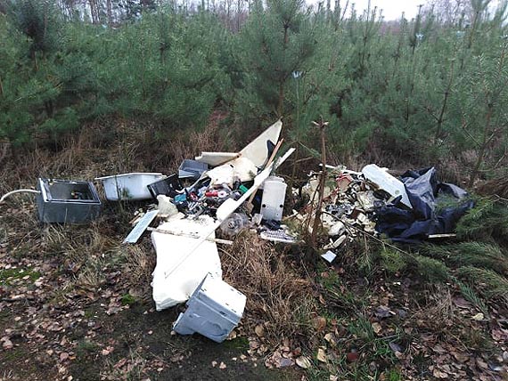 Głupota ludzka nie zna granic. Jeden z mieszkańców Skoszewa natknął się w lesie na dzikie wysypisko...