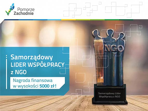 „Samorzdowy Lider Wsppracy z NGO 2019”. Czekamy na zgoszenia