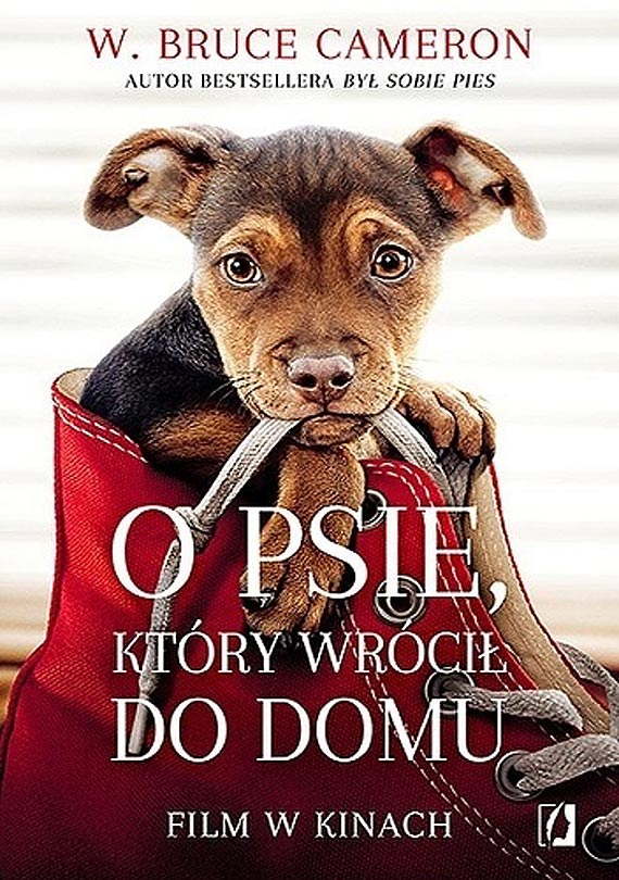 O psie, ktry wrci do domu oraz Kobiety mafii 2 w kinie Eva