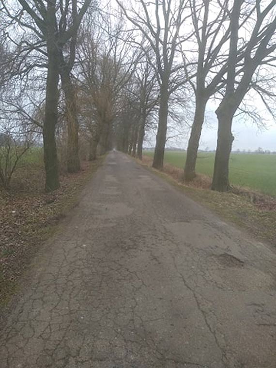 Zapomniana i pełna dziur droga z Jarzysławia