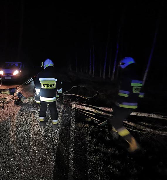 Straacy z OSP wierzno w akcji