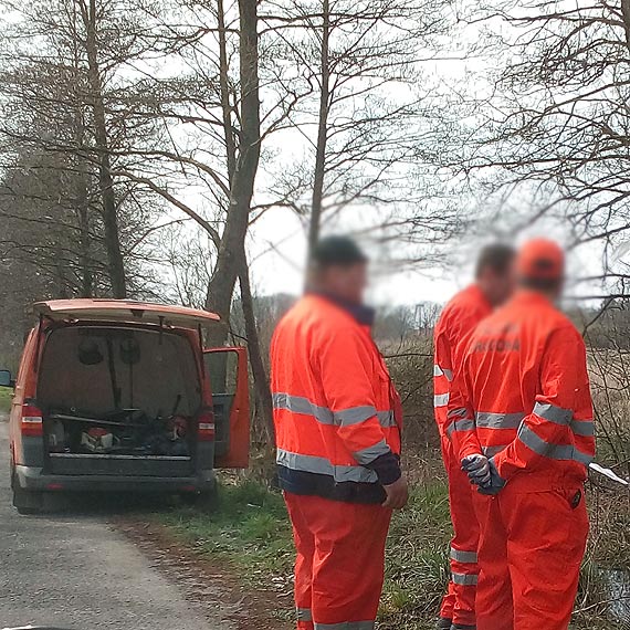 Zdecydowanie to nie by dobry pomys. Areszt albo grzywna za bobra europejskiego
