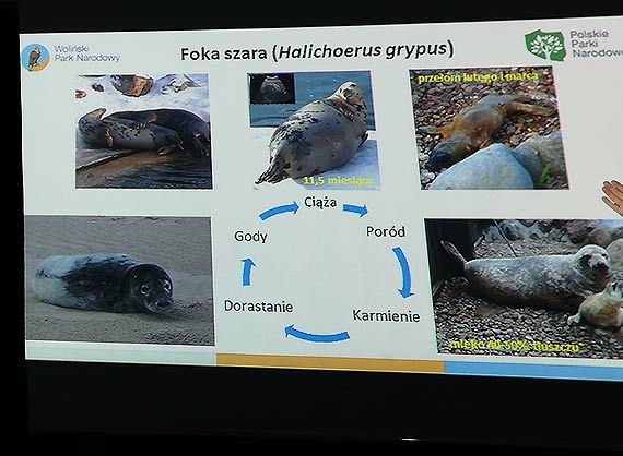 Szkolenie nauczycieli Domu Wczasów Dziecięcych w Międzyzdrojach