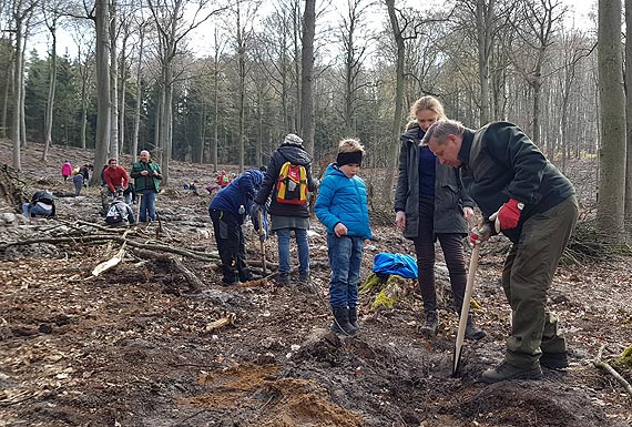 Walcz� ze smogiem. Sadzili drzewa w puszczach
