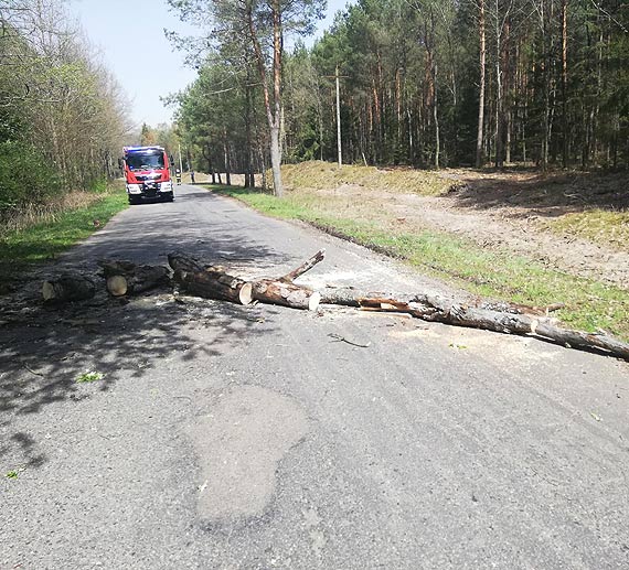 Straacy wycili pochylone nad jezdni drzewo