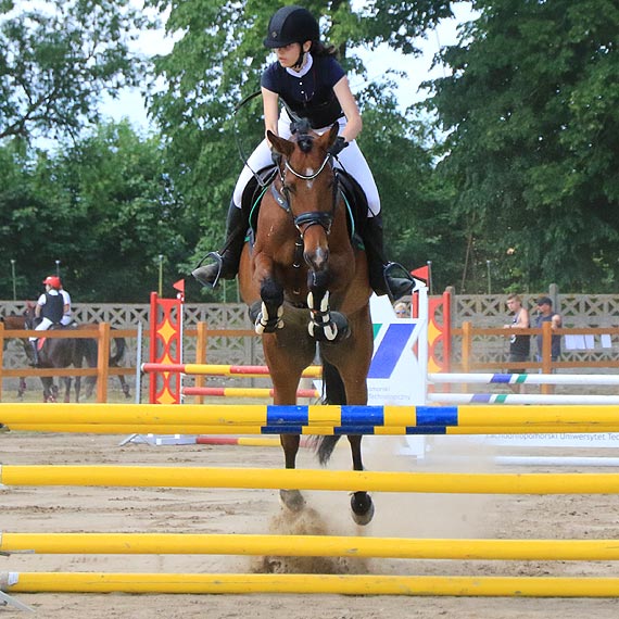 Konie ślicznie skakały. Zawody jeździeckie w Benicach. Zobacz film!