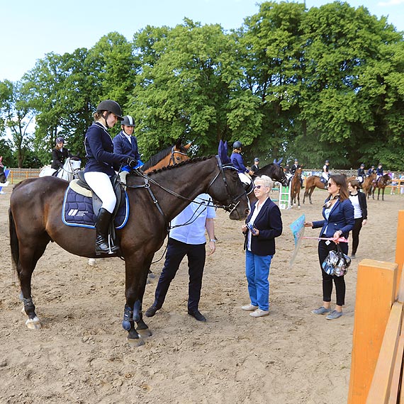 Konie ślicznie skakały. Zawody jeździeckie w Benicach. Zobacz film!