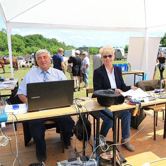 Konie ślicznie skakały. Zawody jeździeckie w Benicach. Zobacz film!