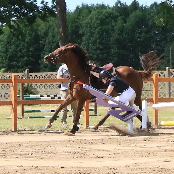 Konie ślicznie skakały. Zawody jeździeckie w Benicach. Zobacz film!