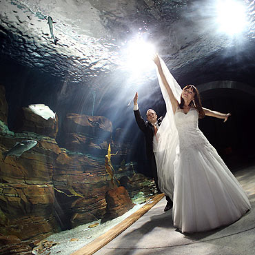 Stralsund: We� �lub w oceanarium