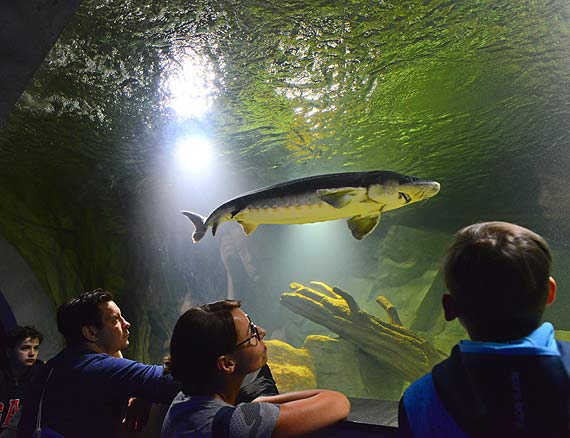 W Midzyzdrojach zostao otwarte nowe Oceanarium