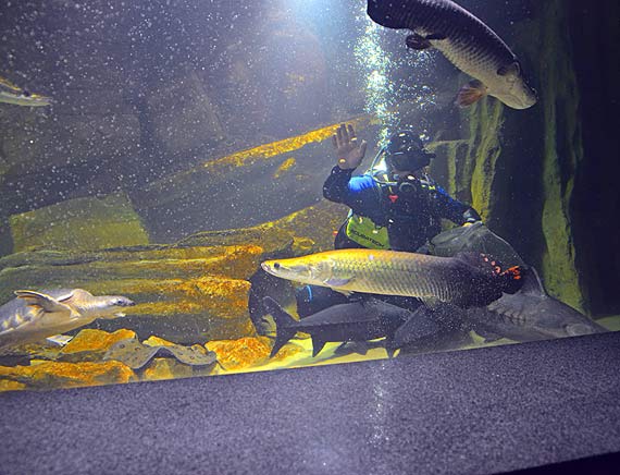 W Międzyzdrojach zostało otwarte nowe Oceanarium