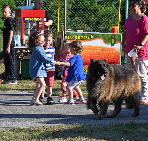 Wyjątkowy udany piknik strażacki w Lubinie
