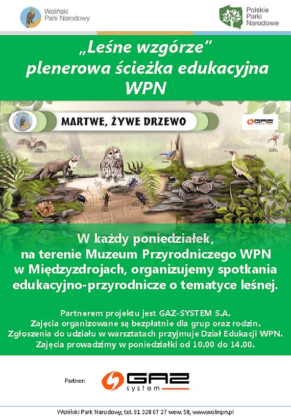Wakacje w Midzyzdrojach od 08 do 14 lipca 2019r.  
