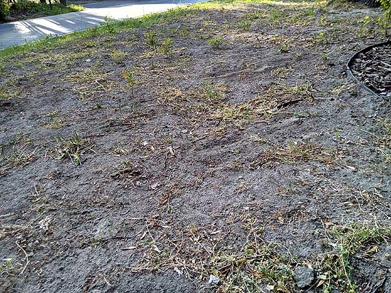 Jak nie wygląda Park Jana Pawła II w Kamieniu Pomorskim
