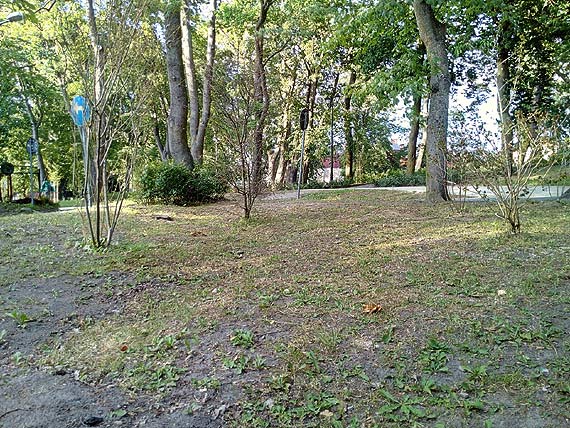 Jak nie wygląda Park Jana Pawła II w Kamieniu Pomorskim