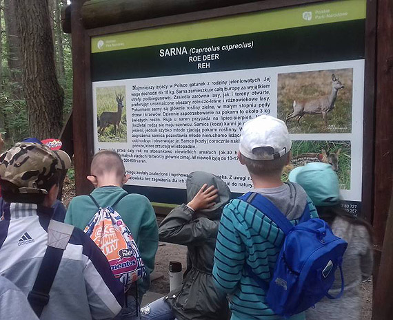 Mio upywa wakacyjny czas - pkolonie w Szkole Podstawowej nr 1 w Midzyzdrojach