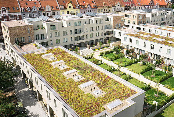 Zielony dach, czyli ogr�d na wysoko�ciach