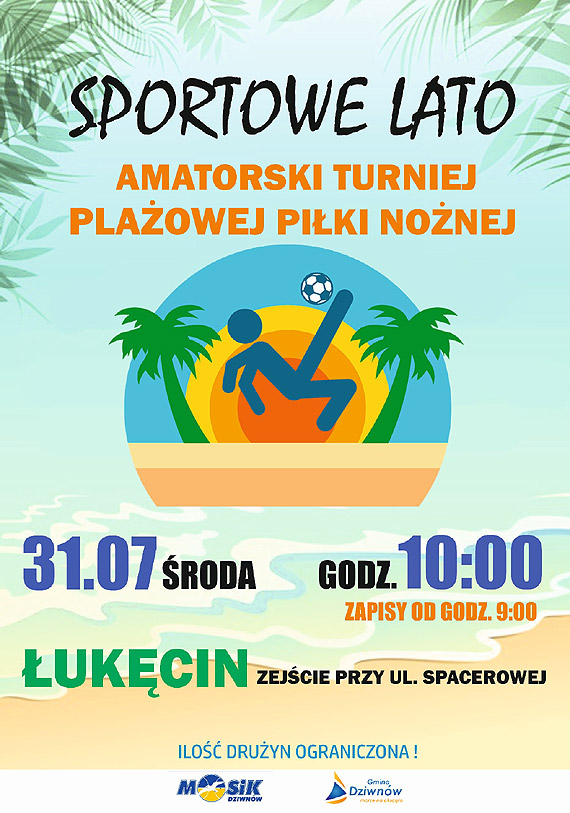 Plaowy turniej Piki Nonej