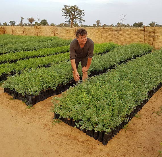 Wielka Zielona �ciana. Dla biosfery i ku pami�ci Dzieci Wojny ...