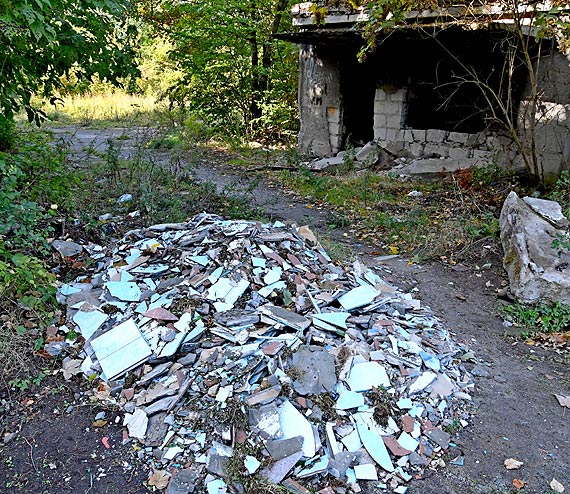 Sabe pastwo, niskie kary. Wysypisko mieci na drodze w Wapnicy