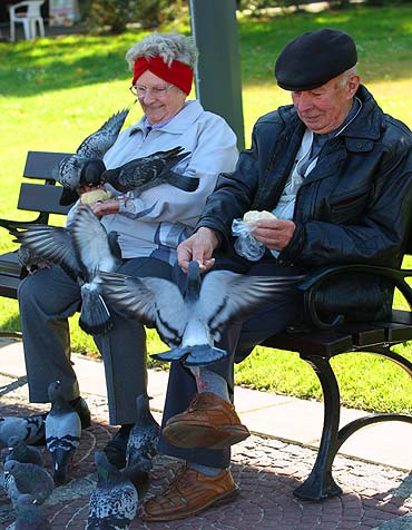 W Mi�dzyzdrojach jak w Krakowie 