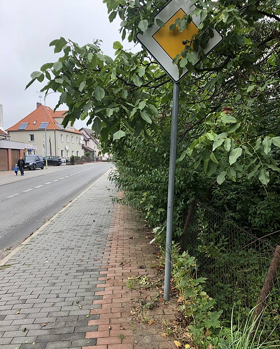 Czytelniczka: cieka rowerowa i chodnik s nie do uytku
