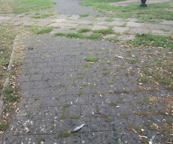 Halo czy kto tu sprzta?