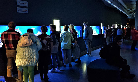 Wizyta w Oceanarium oraz mini koncert Anny Jurksztowicz i Krzesimira Dbskiego
