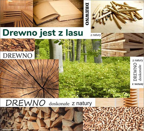 Festiwal drewna... ...czyli spotkanie z niezwyk�ym surowcem i...niepokorn� stolark�