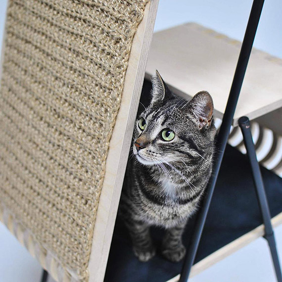 Zaprojektowa�a mebel dla kota. Studentka ZUT-u w finale konkursu na Najlepszy Dyplom FONT nie czcionka 2019