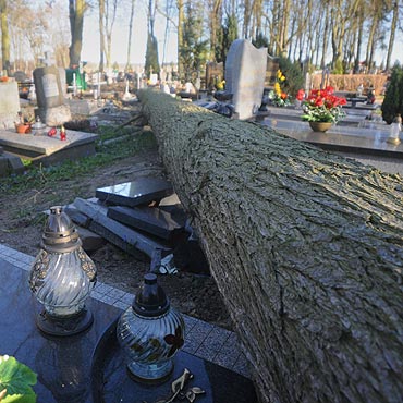 Kamie� Pomorski: Drzewo roztrzaska�o nagrobki
